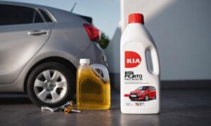 Jaki olej do Kia Picanto 1.0 Benzyna