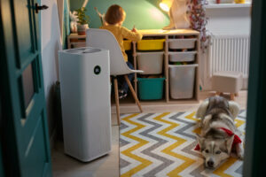 Ewolucja Technologii w Oczyszczaczach Powietrza